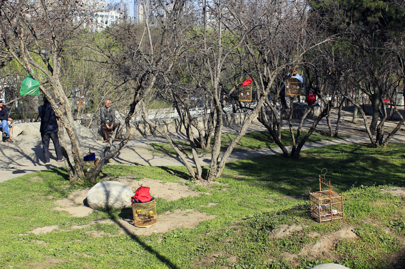 2017-04-01_091726 china-2017.jpg - Xian - Stadtmauerpark